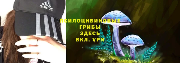 марихуана Белокуриха