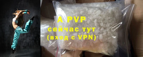 прущие грибы Сафоново