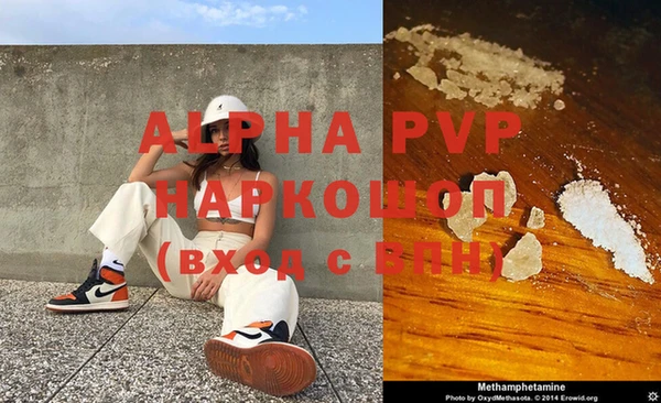 прущие грибы Сафоново